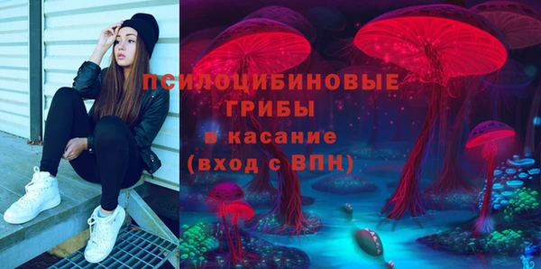 PSILOCYBIN Краснослободск